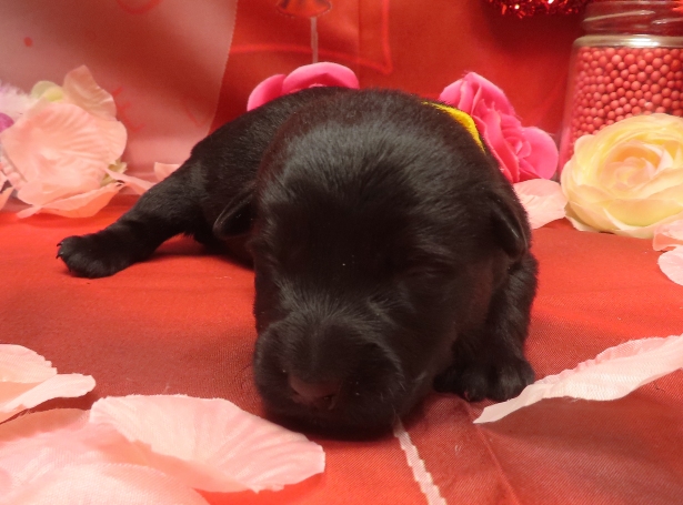 Aaliyah 1wk 2