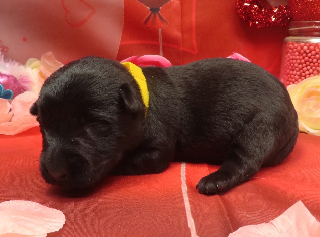 Aaliyah 1wk 3