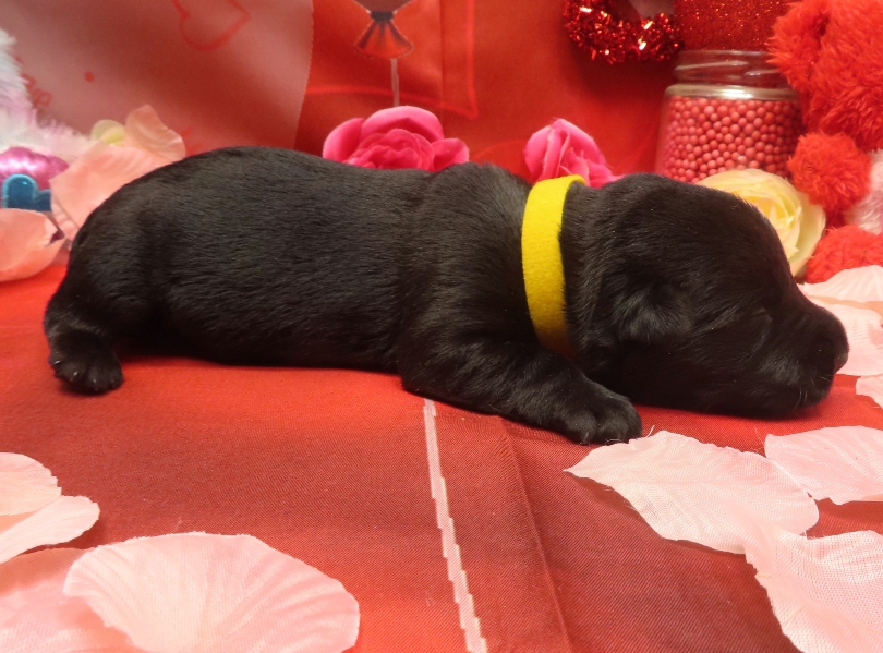 Aaliyah 1wk 5