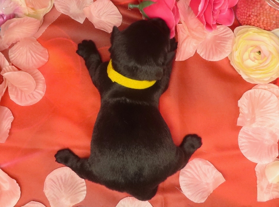 Aaliyah 1wk 7