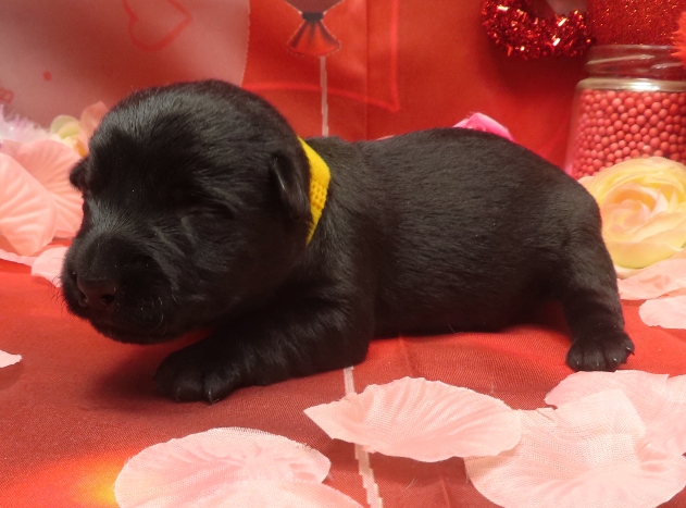 Aaliyah 1wk 8