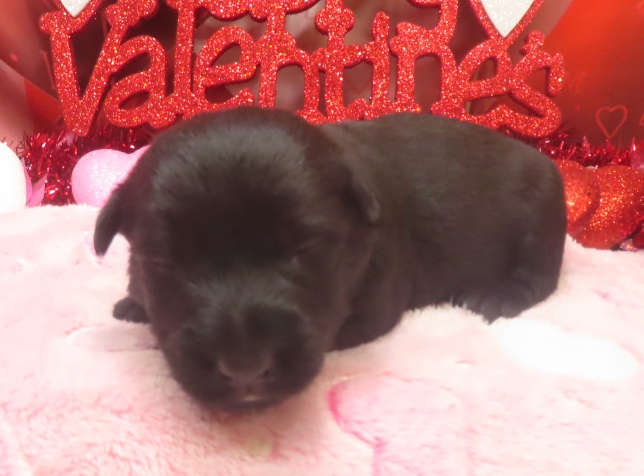 aaliyah 2wk 2