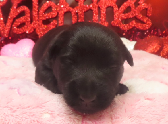 aaliyah 2wk 6