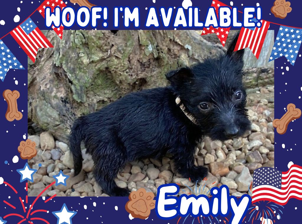 Emily 6wk ft