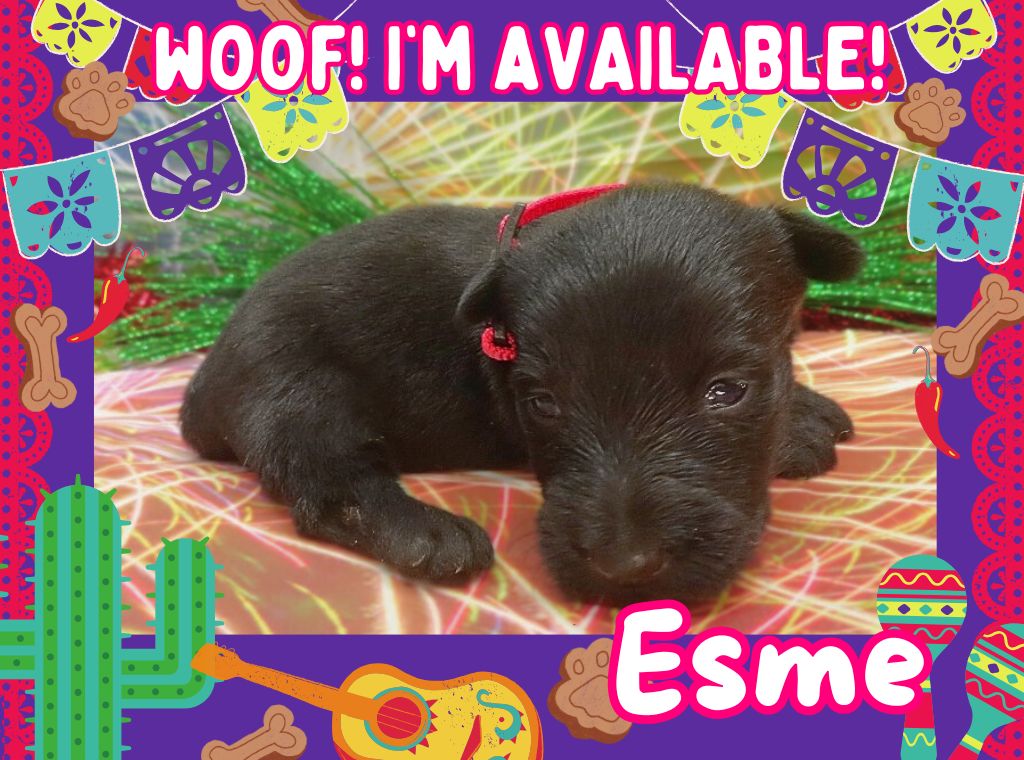 Esme 3wk ft
