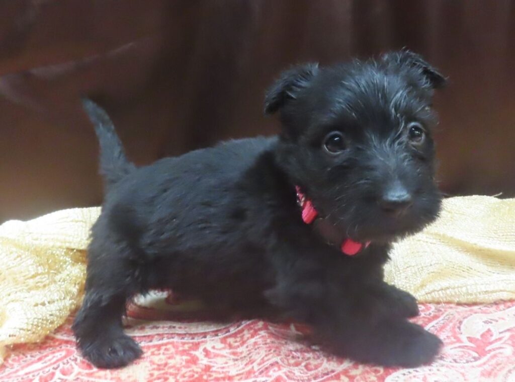 Esme 5wk 3