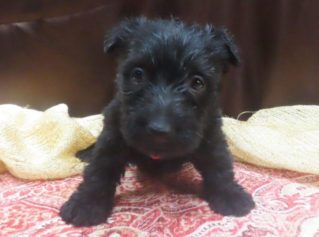 Esme 5wk 5