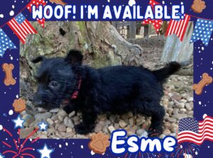 Esme 6wk ft