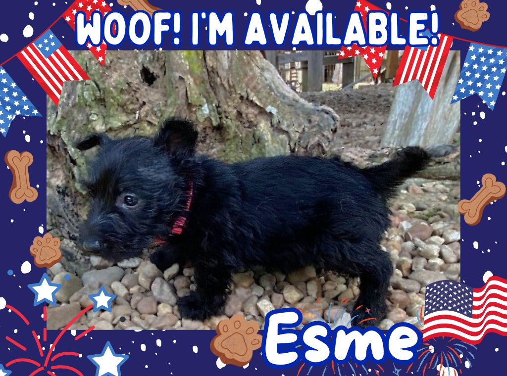 Esme 6wk ft