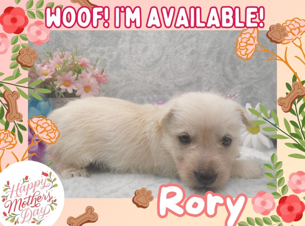 Rory 5wk ft