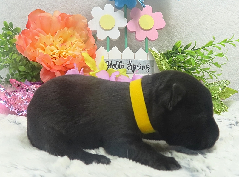 elliot 2wk 1