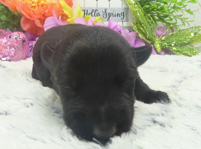 elliot 2wk 5