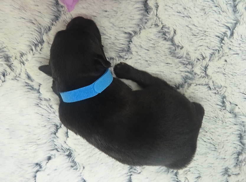 elsa 2wk 1