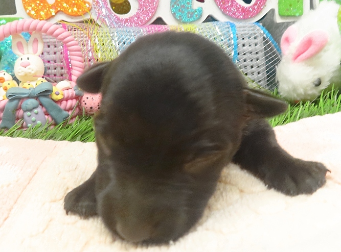 esme 1wk 1
