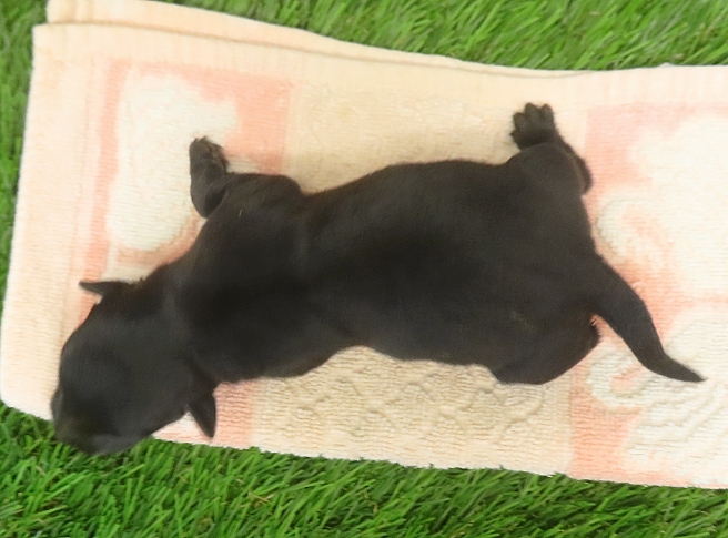 esme 1wk 2