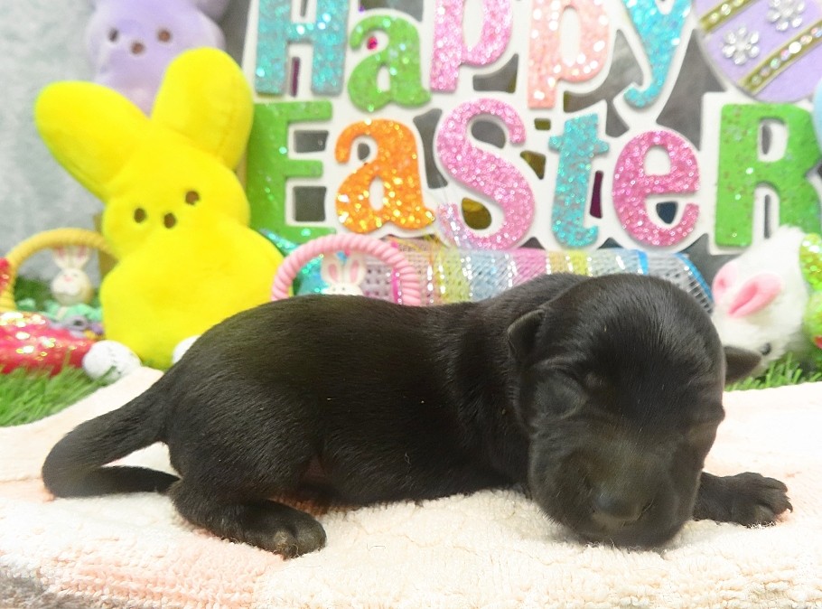 esme 1wk 3