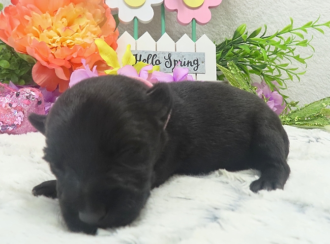 esme 2wk 1
