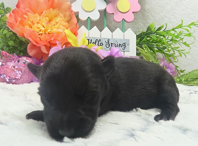 esme 2wk 2