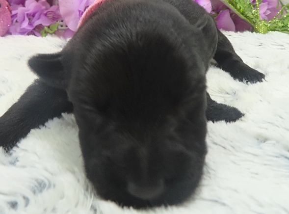 esme 2wk 8
