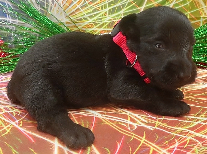 esme 3wk 1