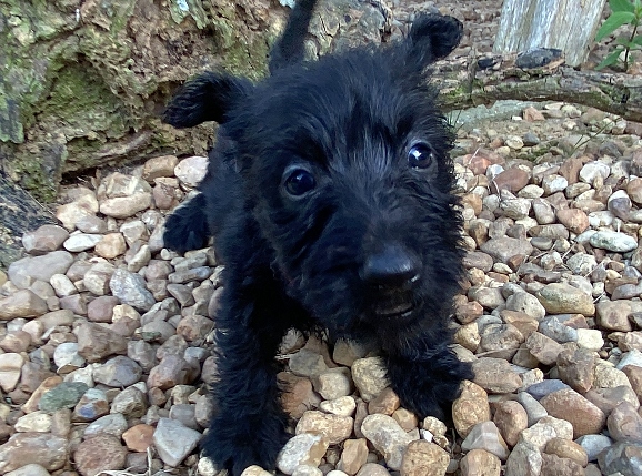 esme 6wk 8
