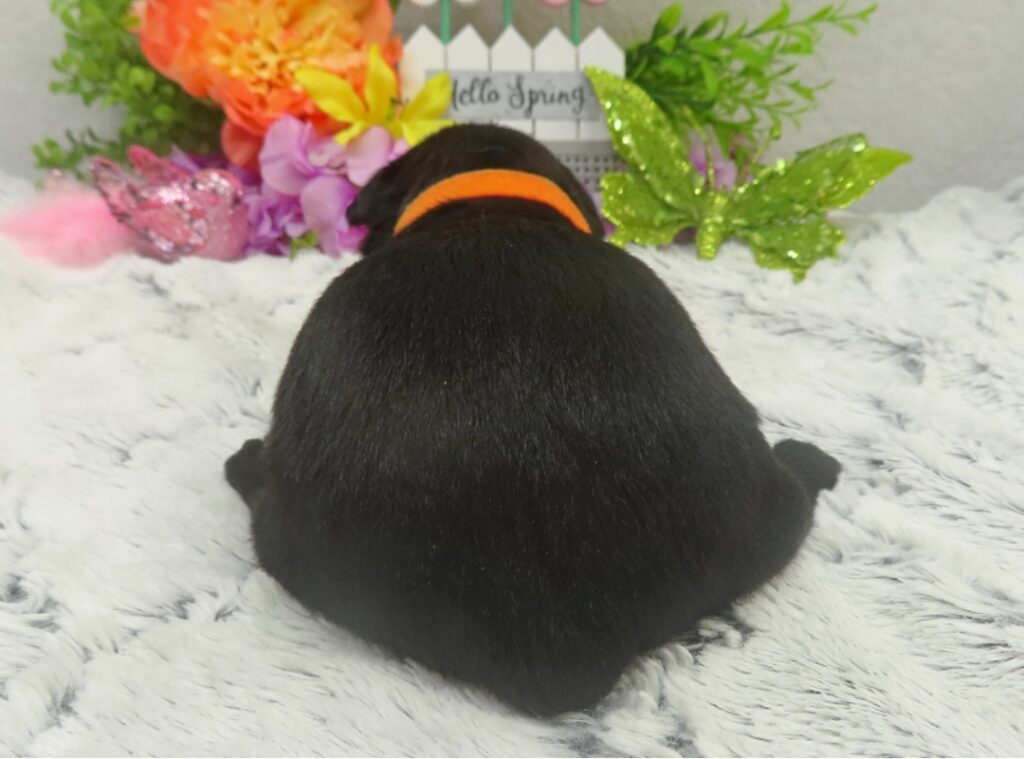 reeses 3wk 3