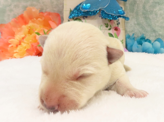 rory 1wk 1