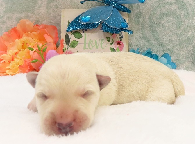 rory 1wk 2