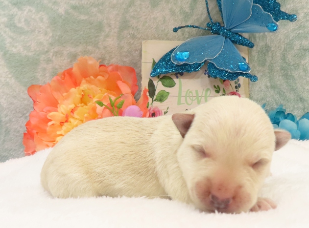 rory 1wk 3