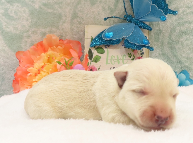 rory 1wk 5