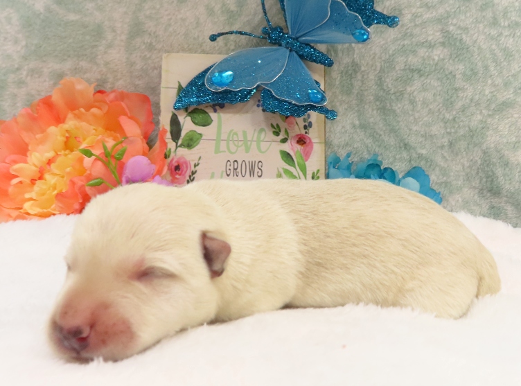 rory 1wk 6