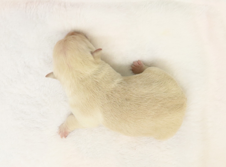 rory 1wk 8