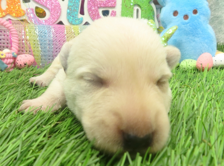 rory 2wk 1