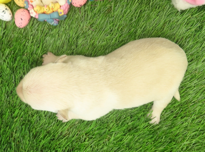 rory 2wk 3