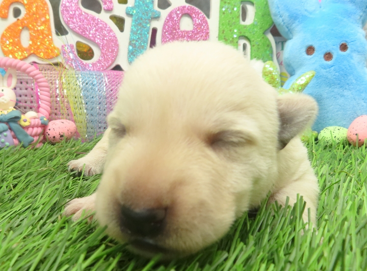 rory 2wk 8