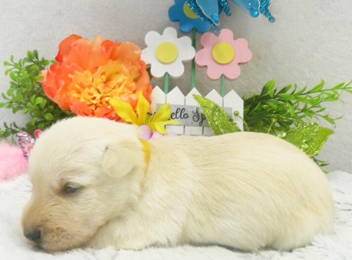 rory 3wk 1 edited