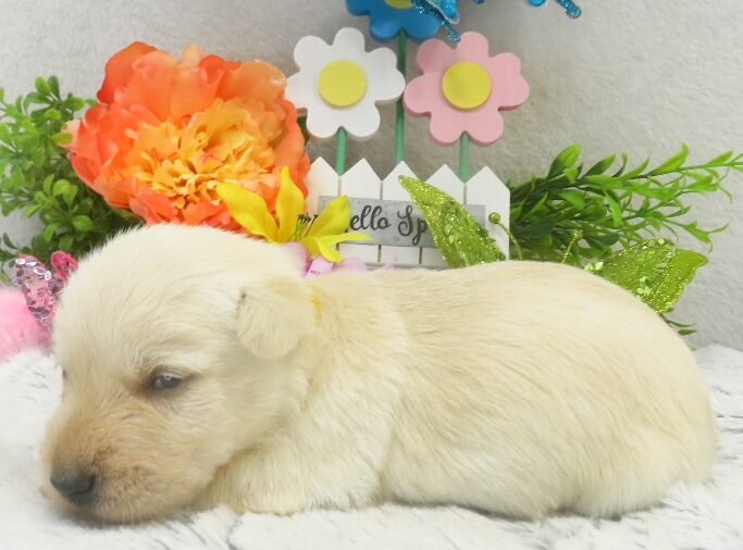 rory 3wk 2 edited