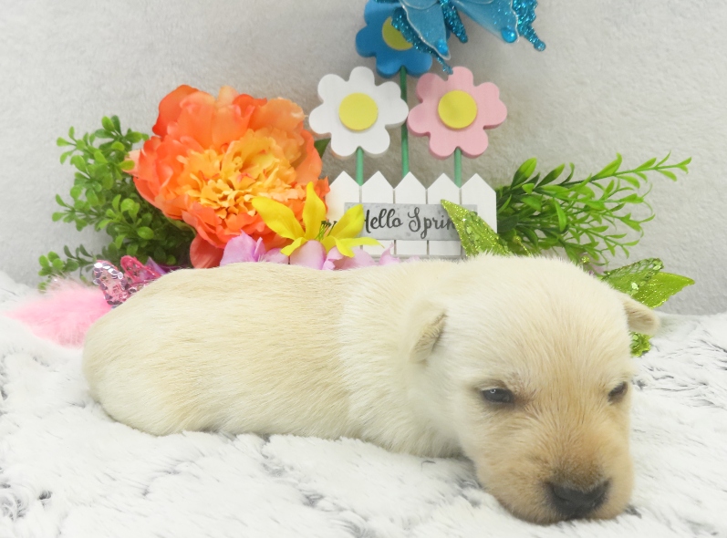 rory 3wk 6