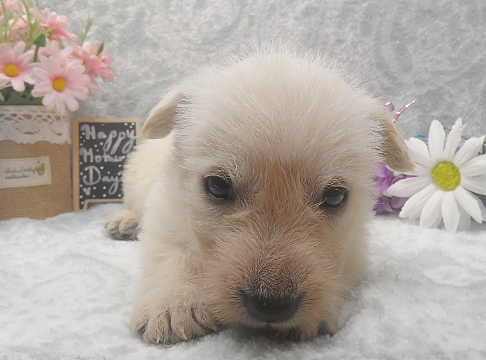 rory 5wk 1