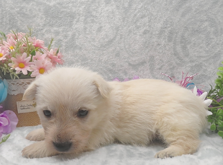 rory 5wk 2