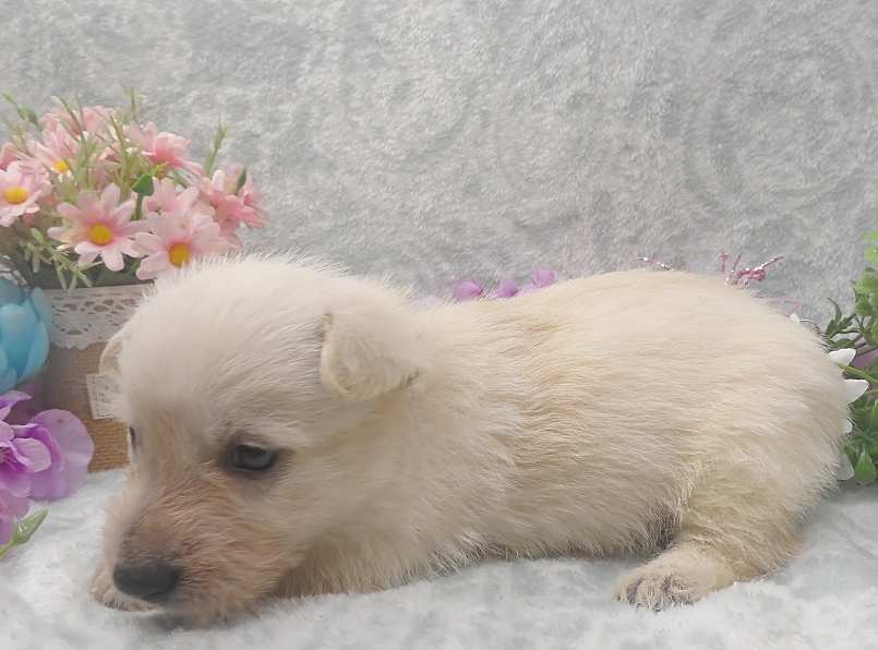 rory 5wk 3
