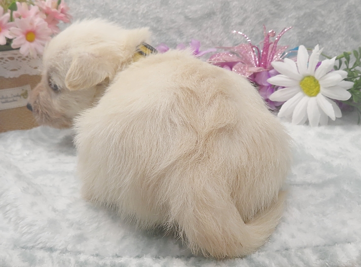rory 5wk 5