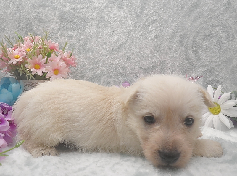 rory 5wk 6