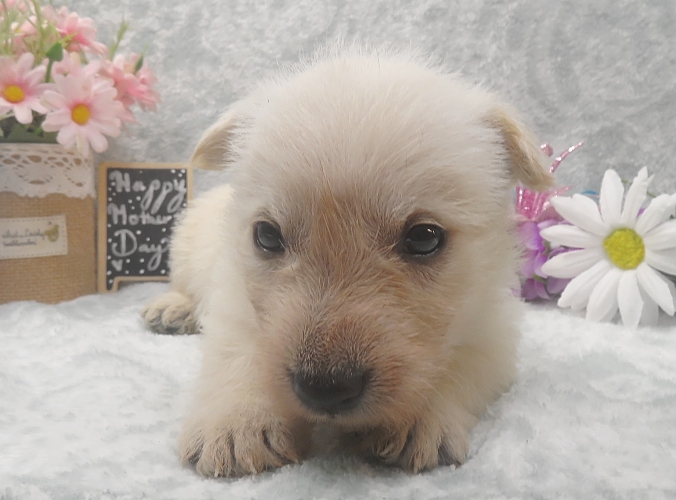 rory 5wk 8