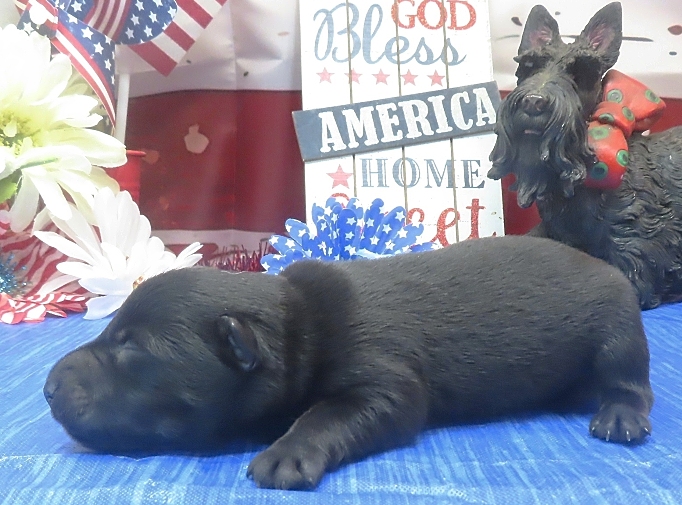 frankie 1wk 1