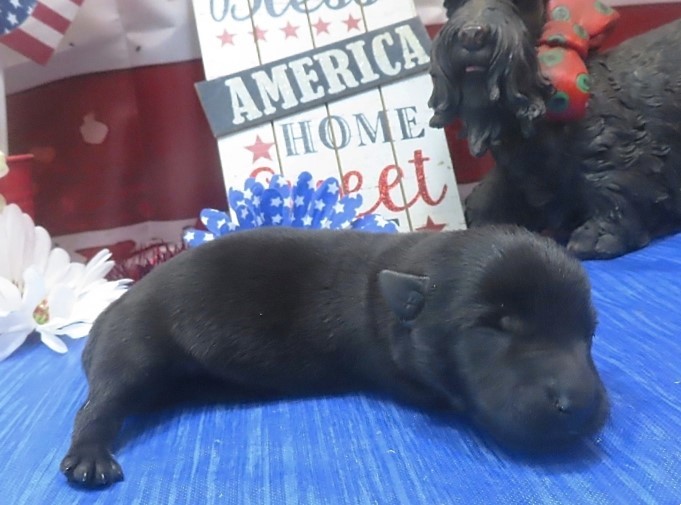 freddie 1wk 6
