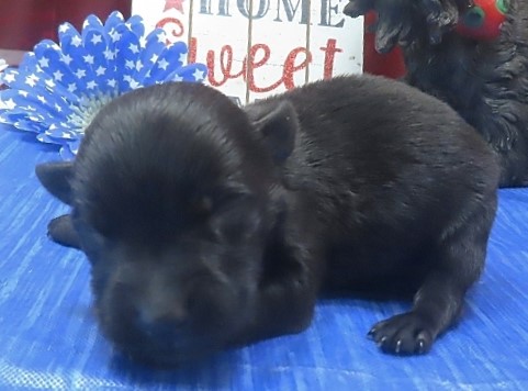 ines 1wk 3