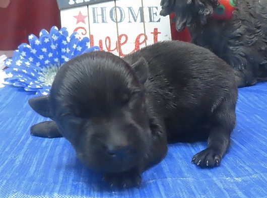 ines 1wk 4