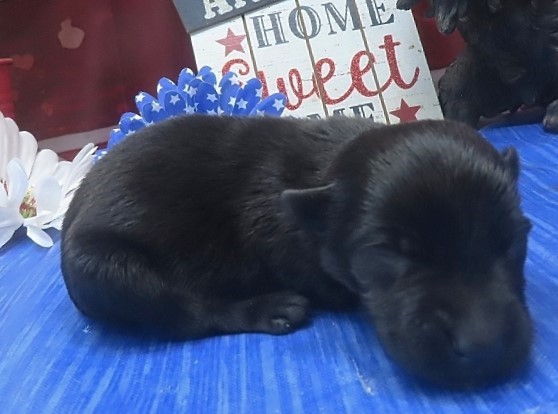 ines 1wk 6