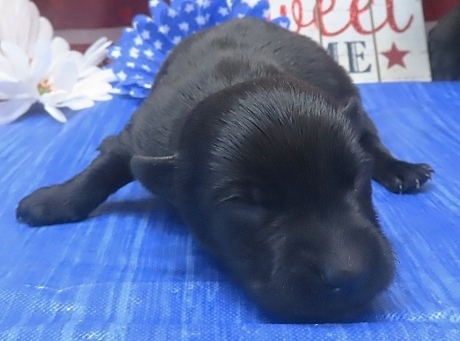 ines 1wk 8